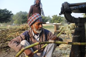 Betting Sites in Punjab in Jharkhand: Complete 2027 Guide for Indian Players